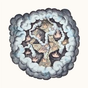 TW Walsh - Songs of Pain and Leisure  LP LP